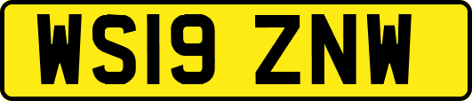 WS19ZNW