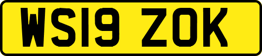 WS19ZOK