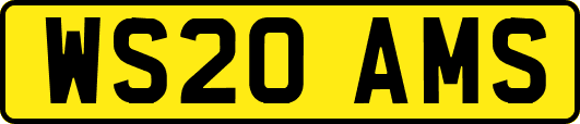 WS20AMS