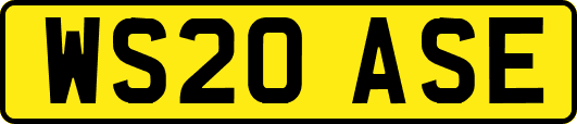 WS20ASE
