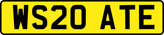 WS20ATE