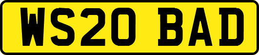 WS20BAD