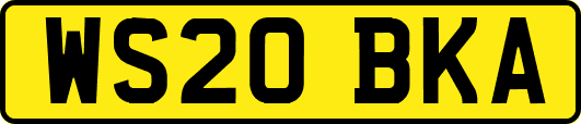 WS20BKA