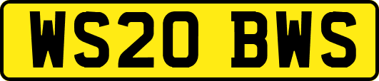 WS20BWS
