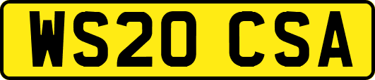 WS20CSA