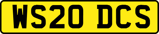 WS20DCS