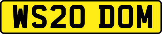 WS20DOM