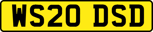 WS20DSD