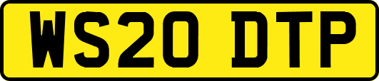 WS20DTP