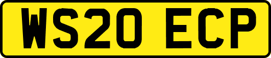 WS20ECP