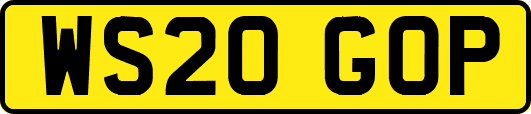 WS20GOP