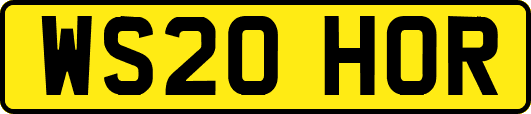 WS20HOR