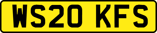 WS20KFS
