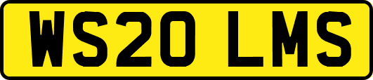 WS20LMS