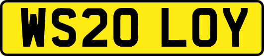 WS20LOY