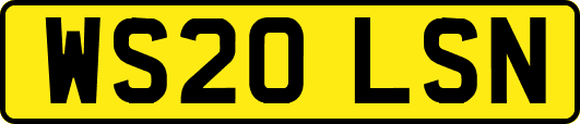 WS20LSN