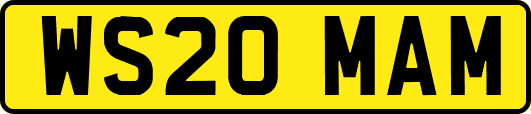WS20MAM