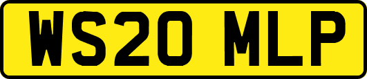 WS20MLP