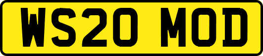 WS20MOD