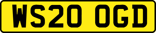 WS20OGD