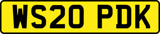 WS20PDK