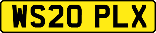 WS20PLX