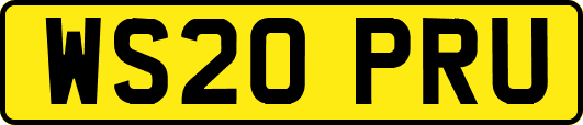 WS20PRU