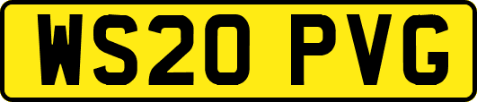 WS20PVG