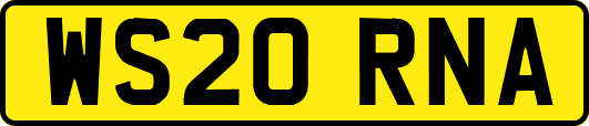 WS20RNA