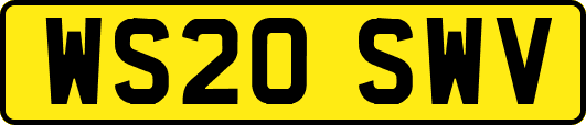 WS20SWV