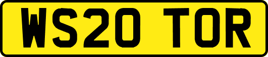 WS20TOR