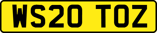 WS20TOZ