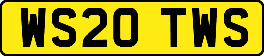 WS20TWS