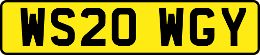 WS20WGY