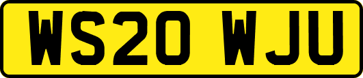 WS20WJU