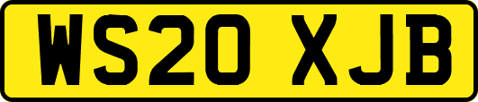 WS20XJB