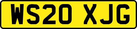WS20XJG