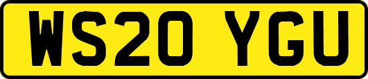 WS20YGU