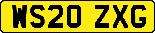 WS20ZXG