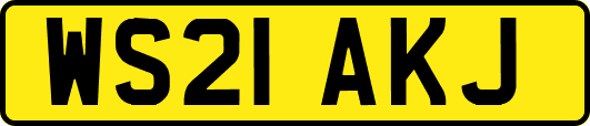 WS21AKJ