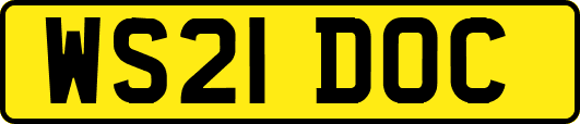 WS21DOC