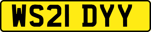 WS21DYY