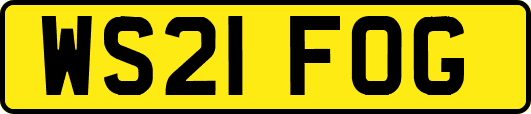 WS21FOG