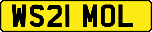 WS21MOL