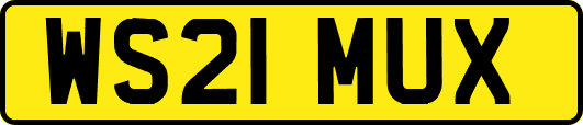 WS21MUX