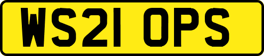 WS21OPS