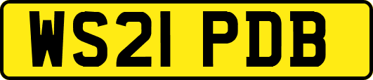 WS21PDB