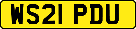 WS21PDU