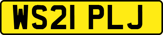 WS21PLJ