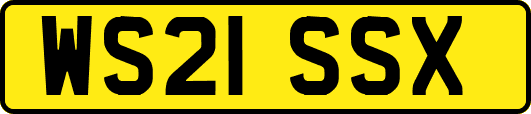 WS21SSX